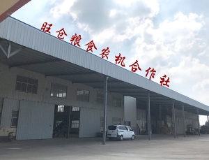 大米生产厂房